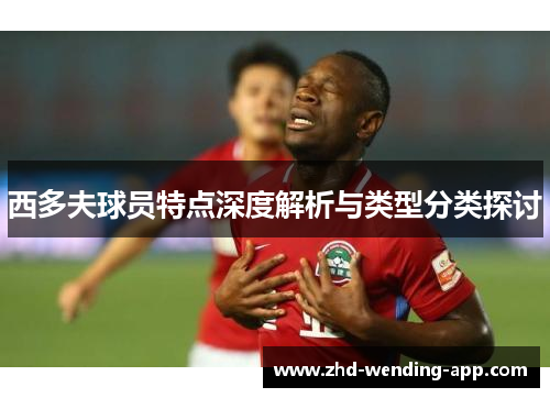 西多夫球员特点深度解析与类型分类探讨 西多夫球员特点深度解析与类型分类探讨